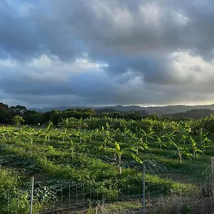 Maleka Farm: Tent Glamping North Shore Oahu Campsite